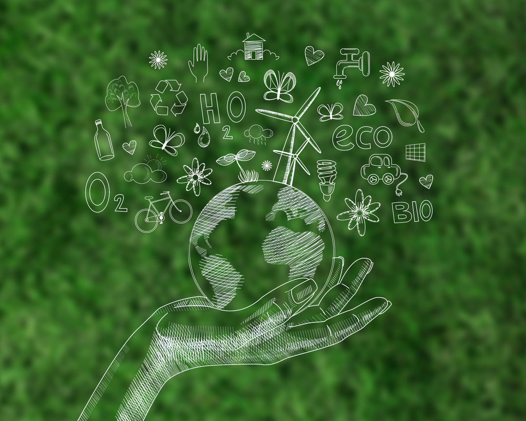 Nurturing Our Planet: Embracing Eco-Friendly Choices for a Sustainable Future